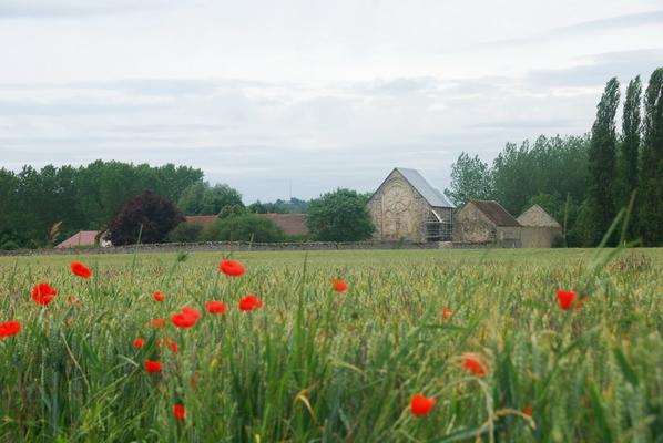 081-Cour-Notre-Dame-Gier-DSC_1736.JPG