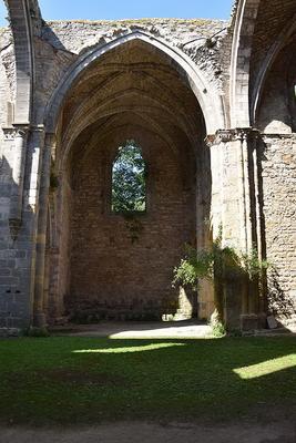 204-Tournasol7-Abbaye_Sainte-Marie_de_Villelongue024.JPG